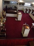 sanctuary (3)
